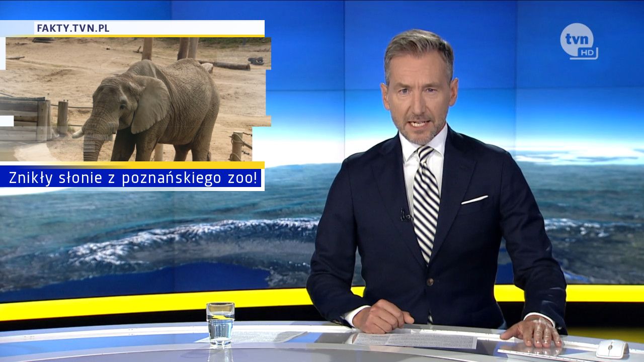 Znikły słonie z poznańskiego zoo!