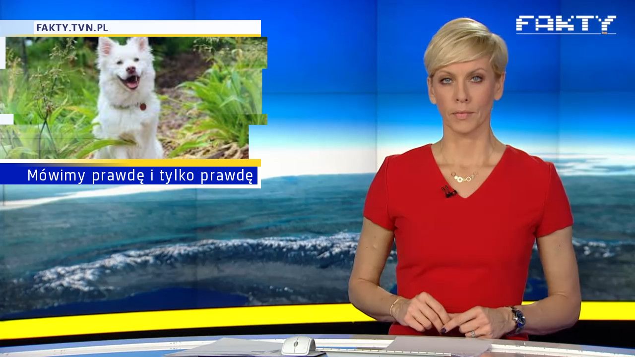 Mówimy prawdę i tylko prawdę