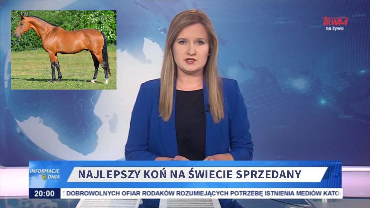Najlepszy koń na świecie sprzedany