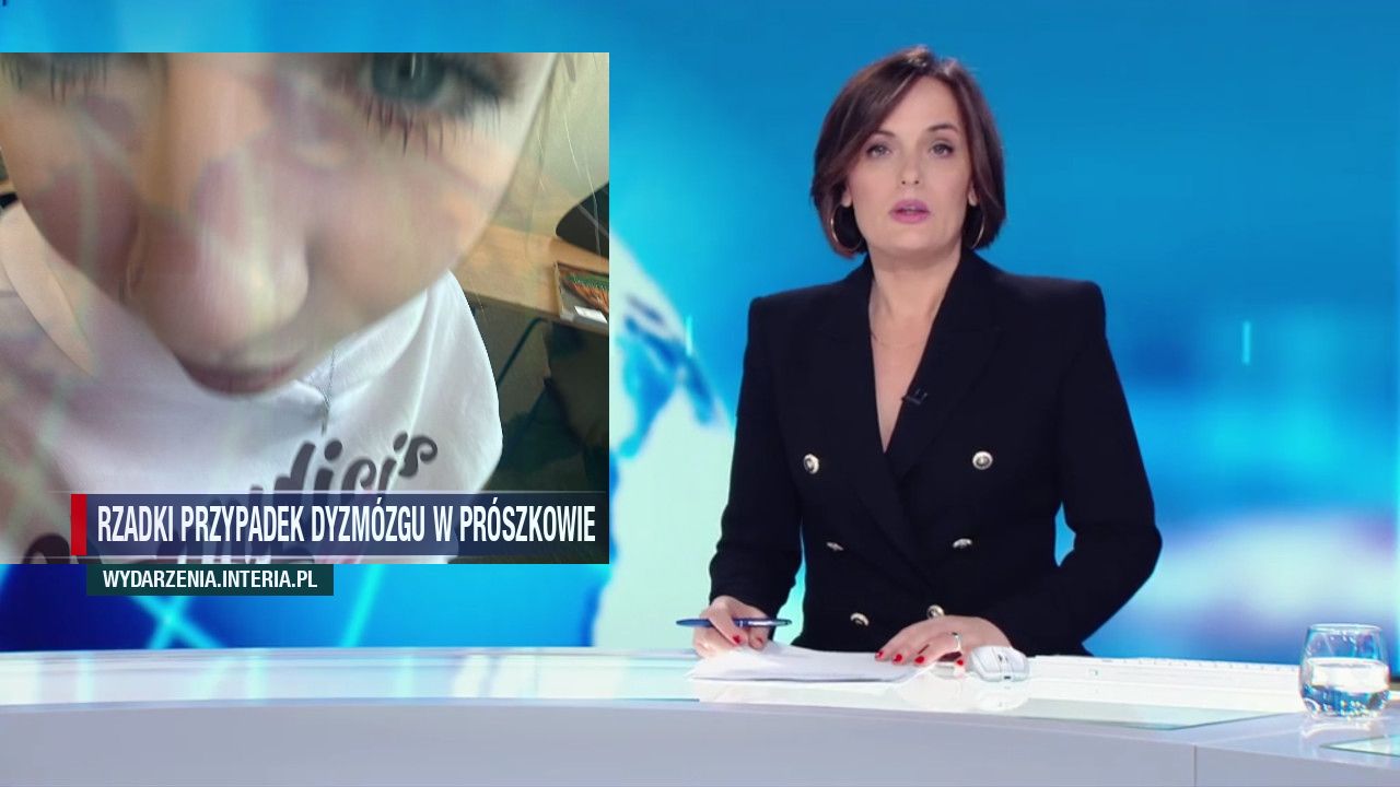 Rzadki przypadek Dyzmózgu w Prószkowie 
