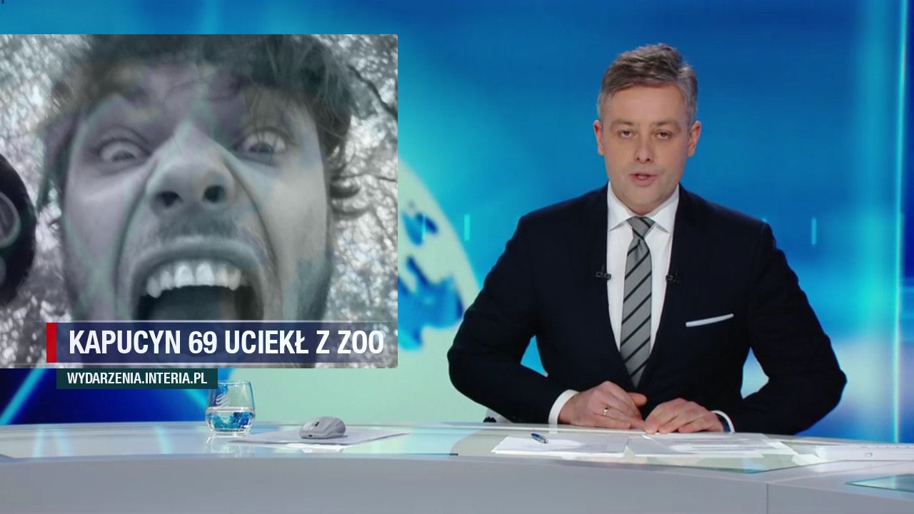 Kapucyn 69 uciekł z zoo