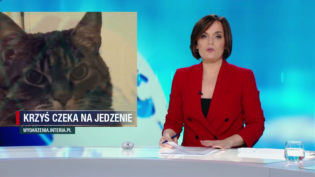 Krzyś czeka na jedzenie