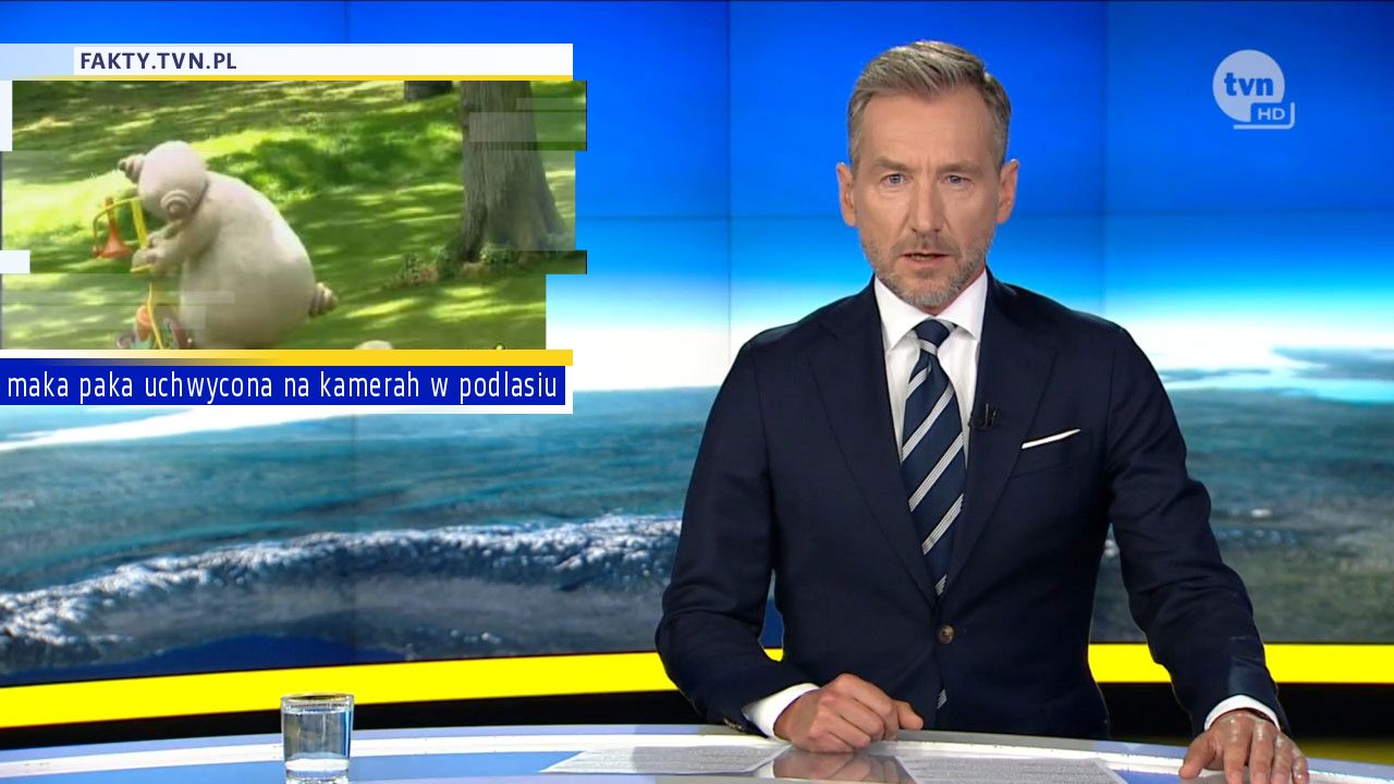 maka paka uchwycona na kamerah w podlasiu 