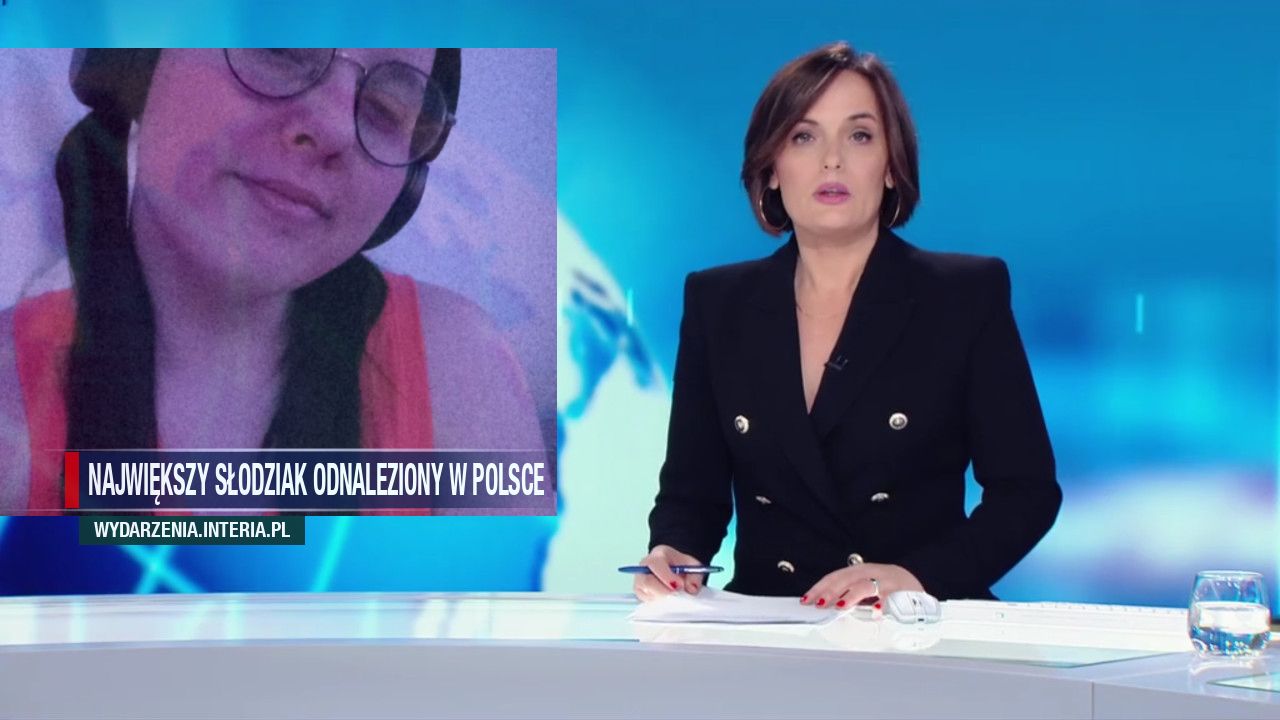 Największy słodziak odnaleziony w Polsce 