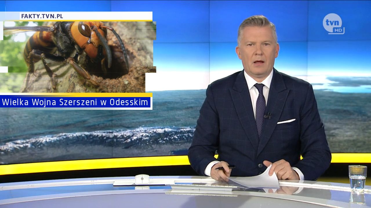 Wielka Wojna Szerszeni w Odesskim