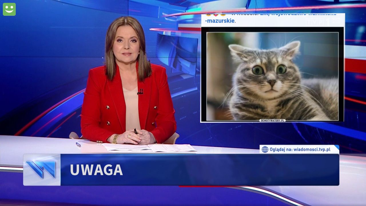 Uwaga