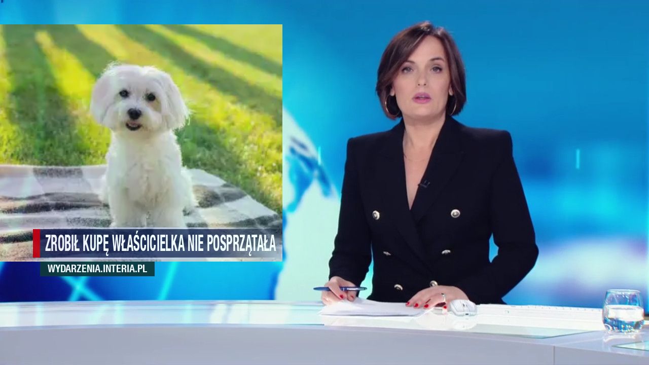 Zrobił kupę właścicielka nie posprzątała    