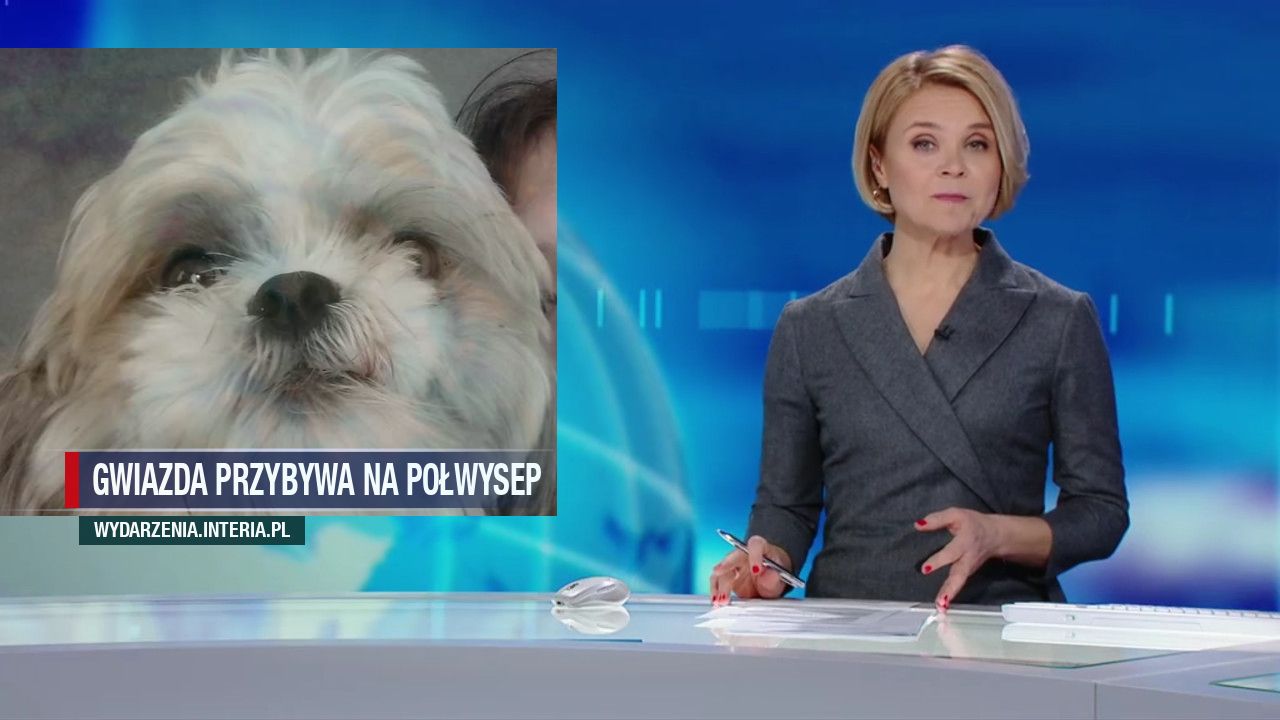 Gwiazda przybywa na Połwysep