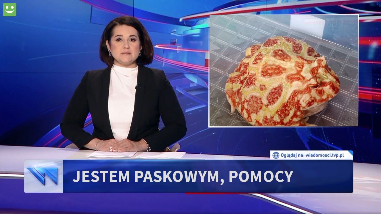 Jestem paskowym, pomocy