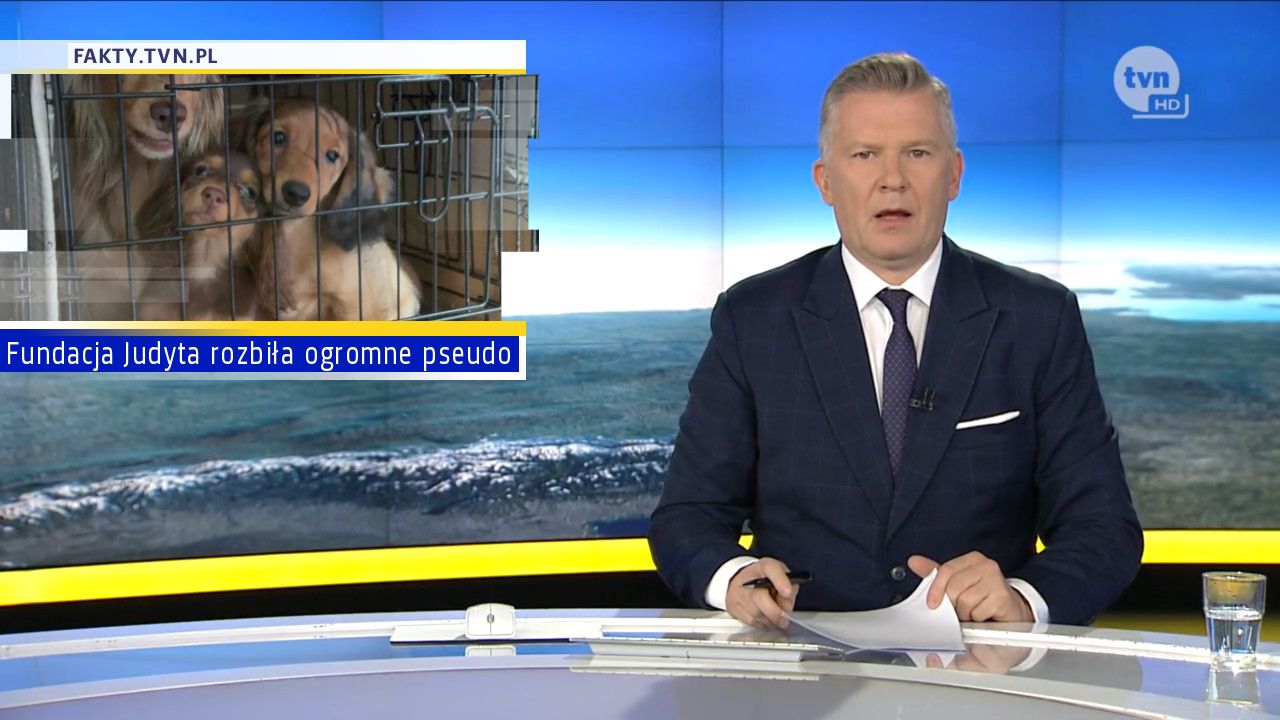 Fundacja Judyta rozbiła ogromne pseudo