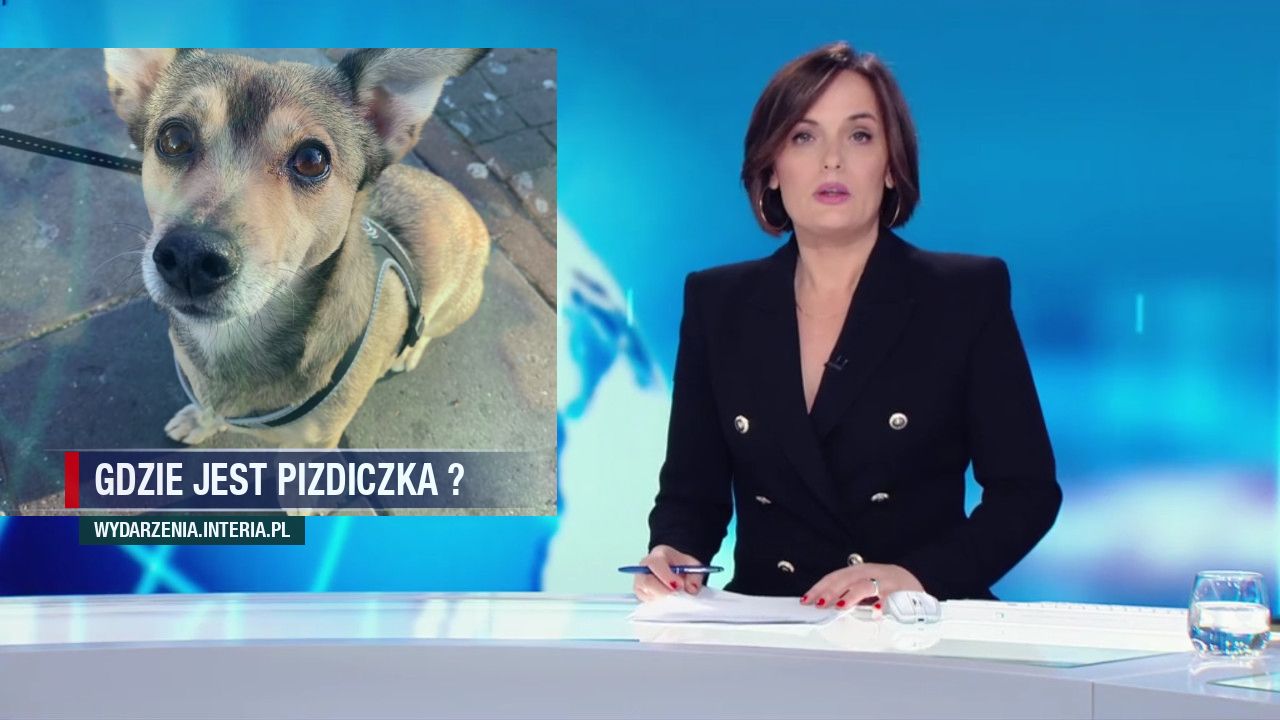 Gdzie jest Pizdiczka ? 