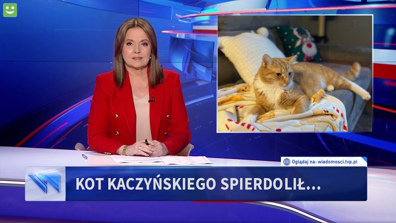 Kot Kaczyńskiego spierdolił…