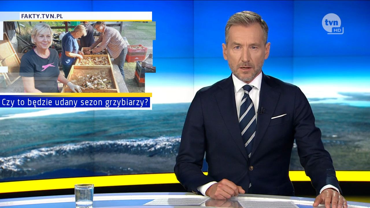 Czy to będzie udany sezon grzybiarzy? 