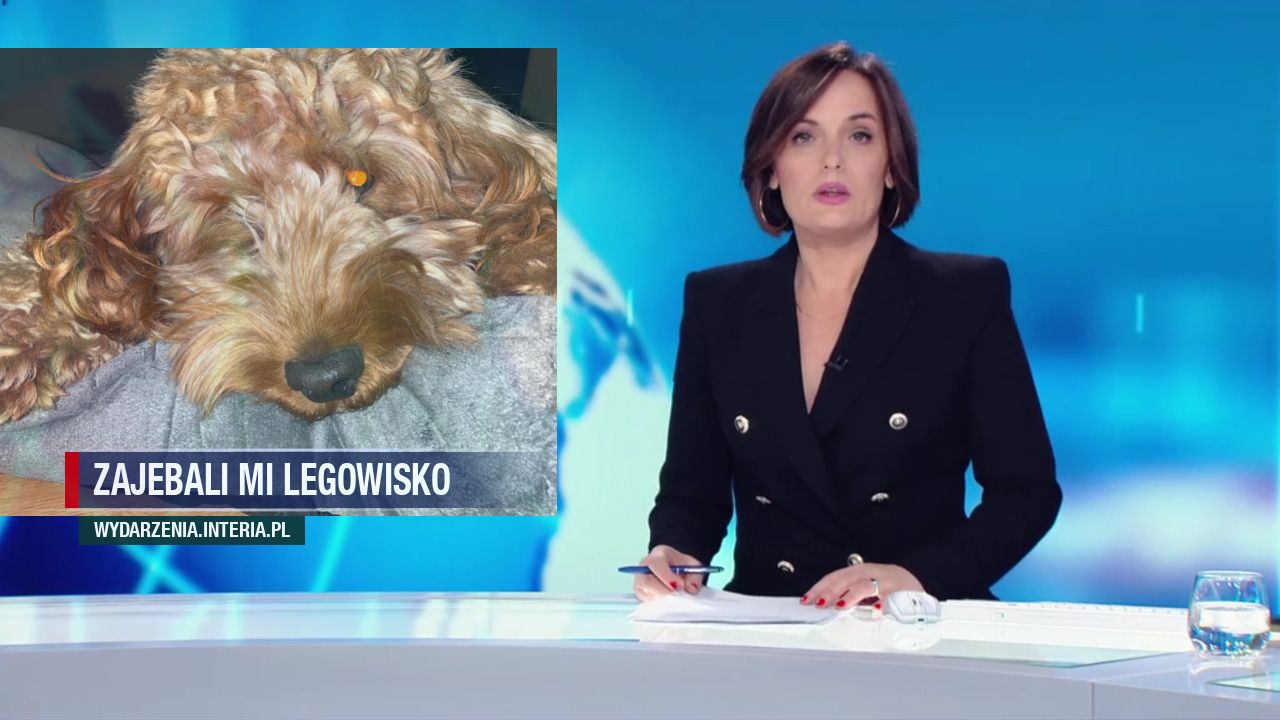 Zajebali mi legowisko