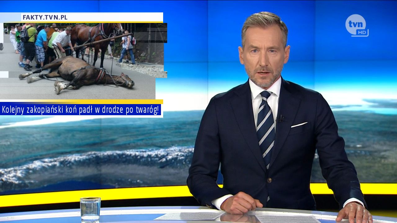 Kolejny zakopiański koń padł w drodze po twaróg!