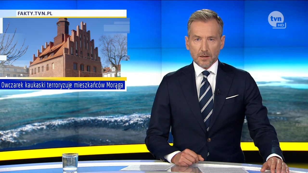 Owczarek kaukaski terroryzuje mieszkańców Morąga 