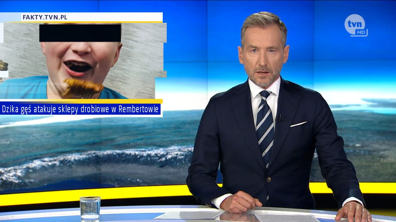 Dzika gęś atakuje sklepy drobiowe w Rembertowie
