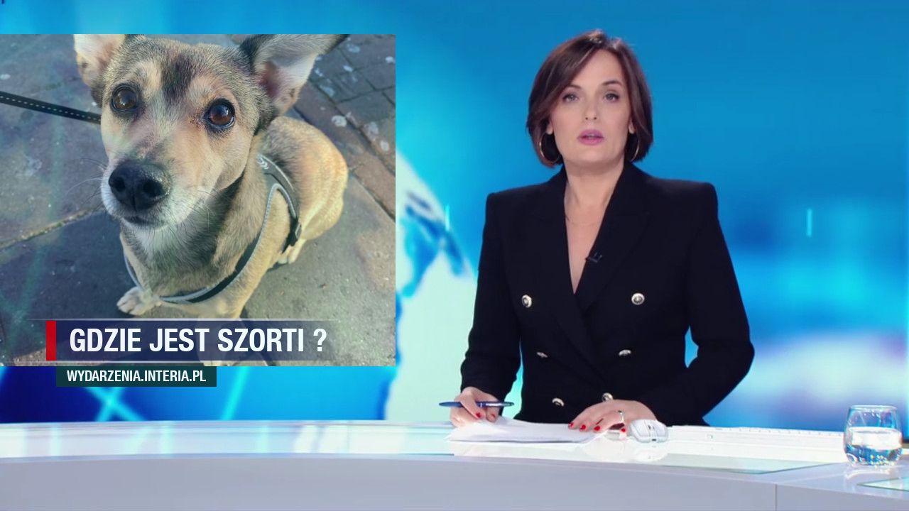 Gdzie jest Szorti ? 