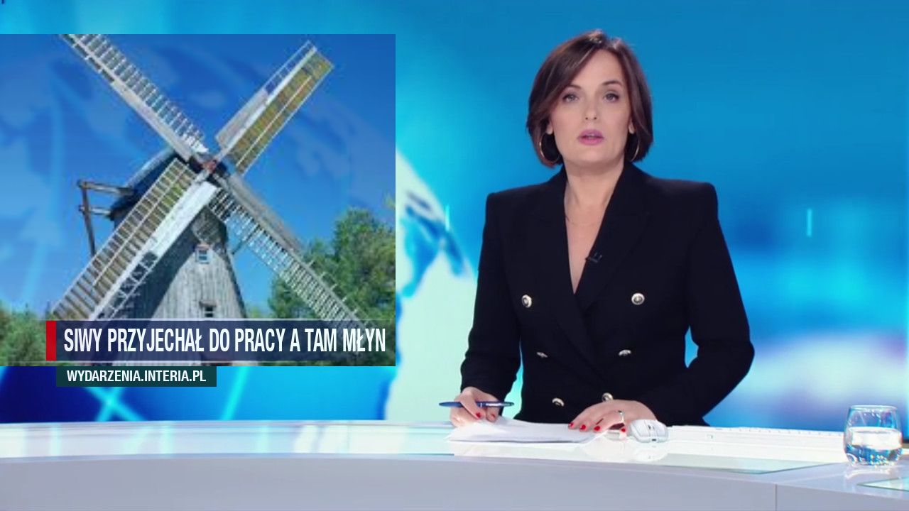 Siwy przyjechał do pracy a tam Młyn