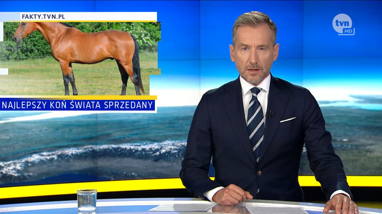 NAJLEPSZY KOŃ ŚWIATA SPRZEDANY
