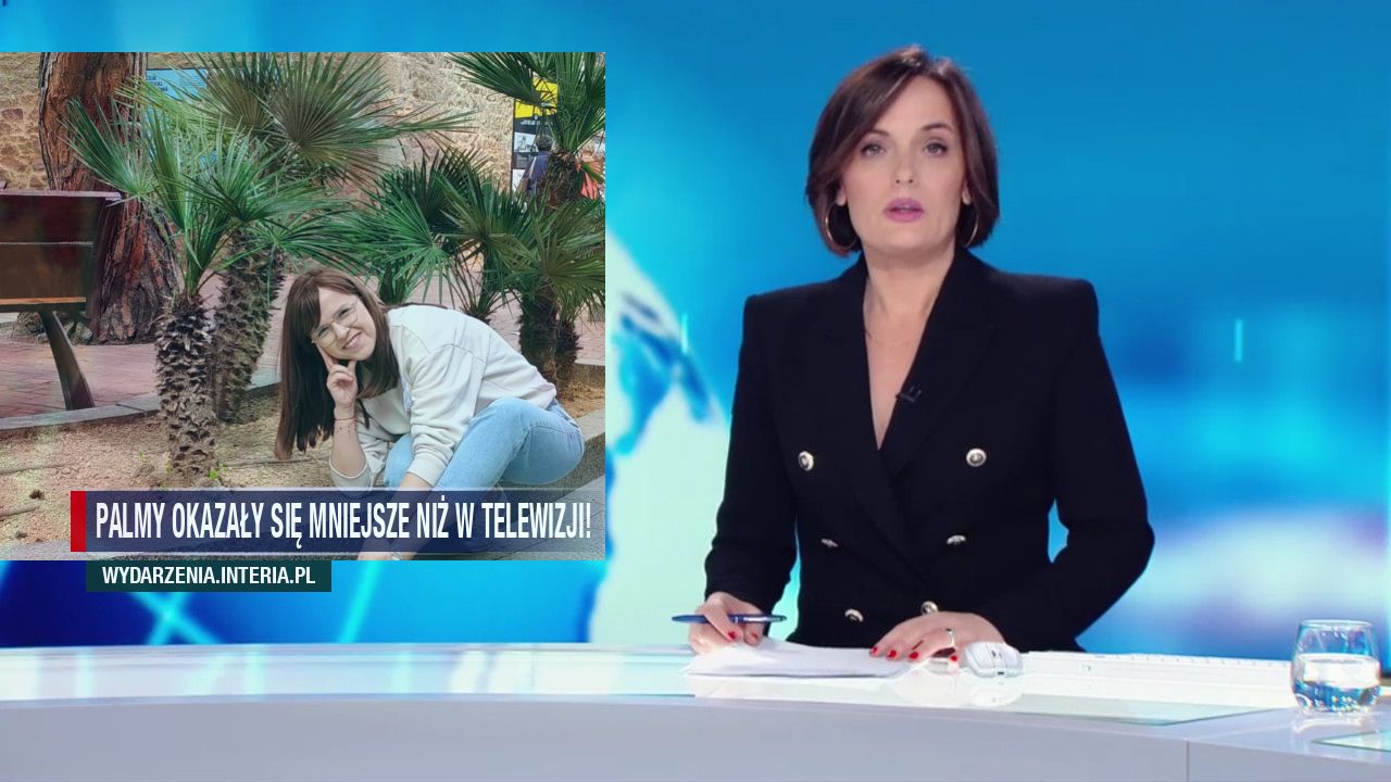 Palmy okazały się mniejsze niż w telewizji!
