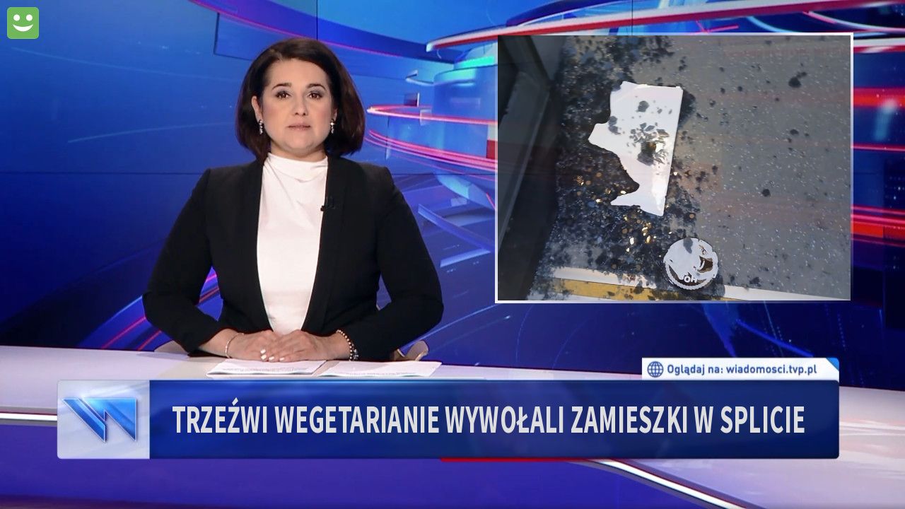 Trzeźwi wegetarianie wywołali zamieszki w Splicie 