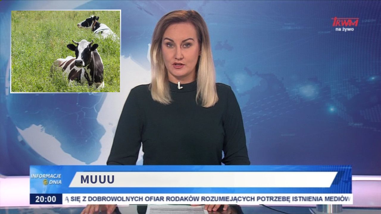 Muuu