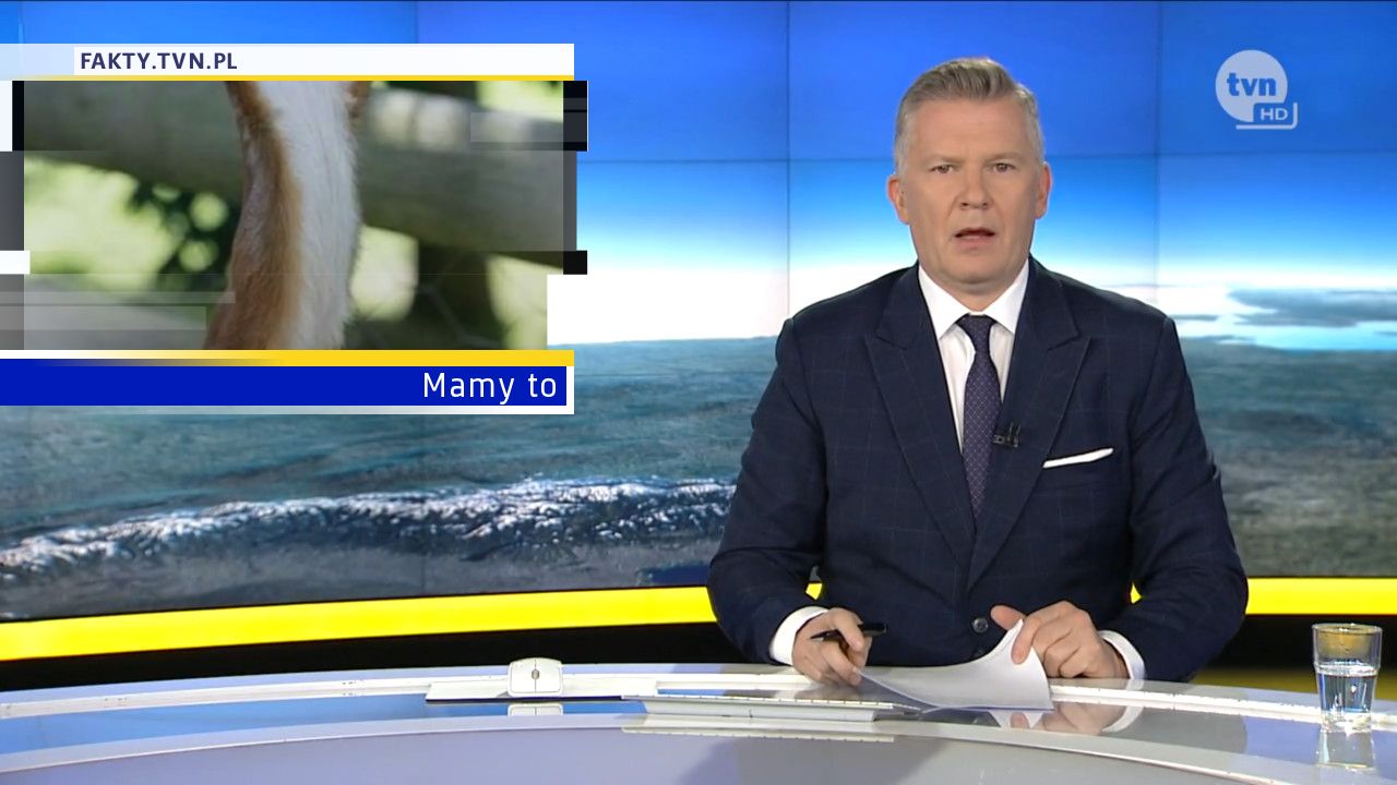 Mamy to