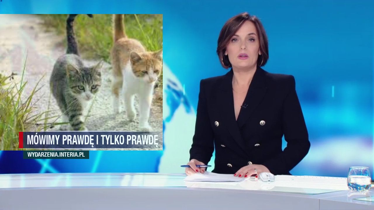 Mówimy prawdę i tylko prawdę
