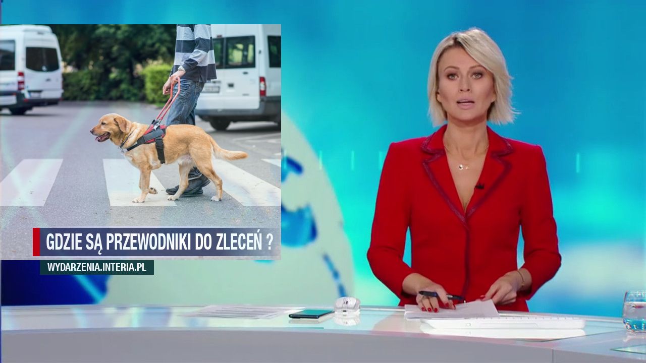 Gdzie są przewodniki do zleceń ?