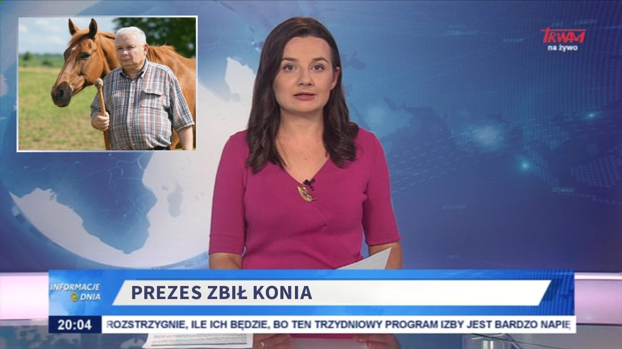 Prezes zbił konia