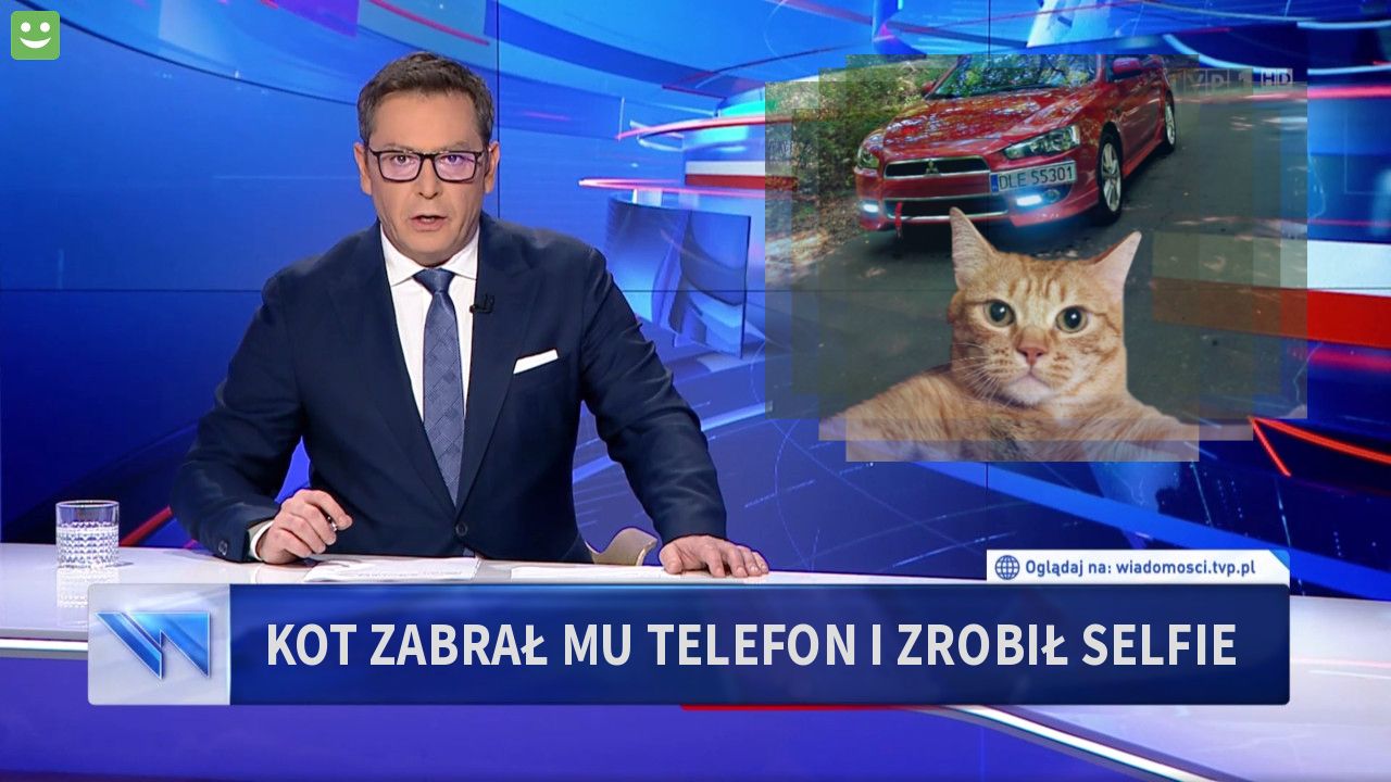 Kot zabrał mu telefon i zrobił selfie 