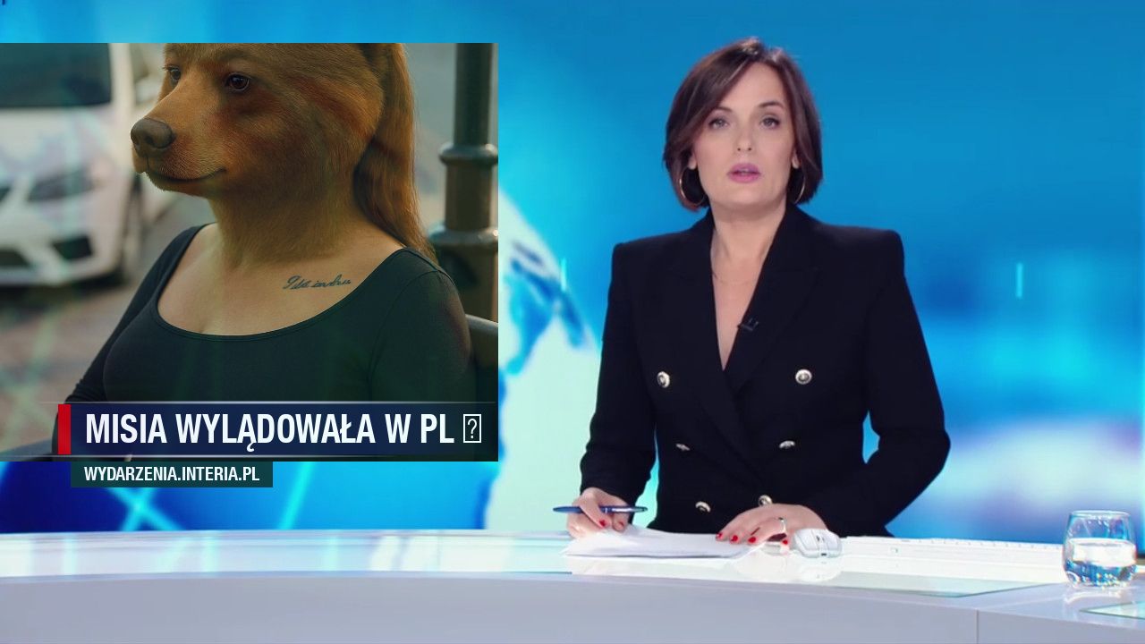 Misia wylądowała w PL 🐻 