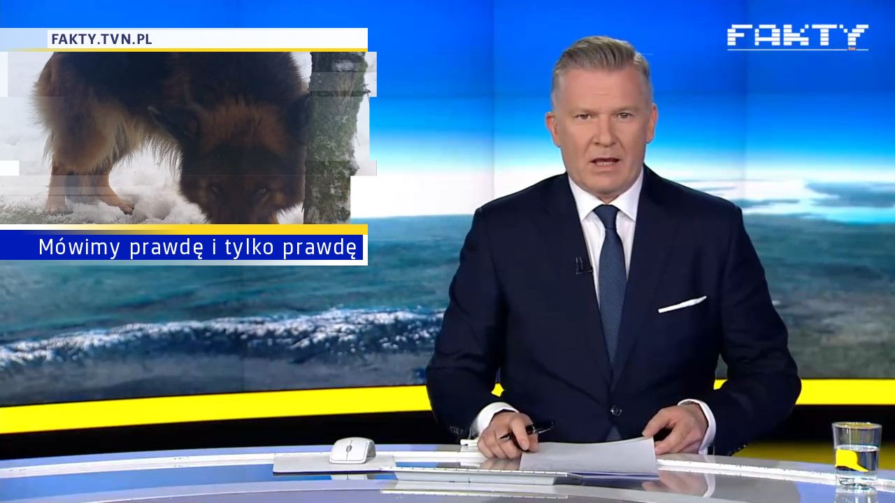 Mówimy prawdę i tylko prawdę