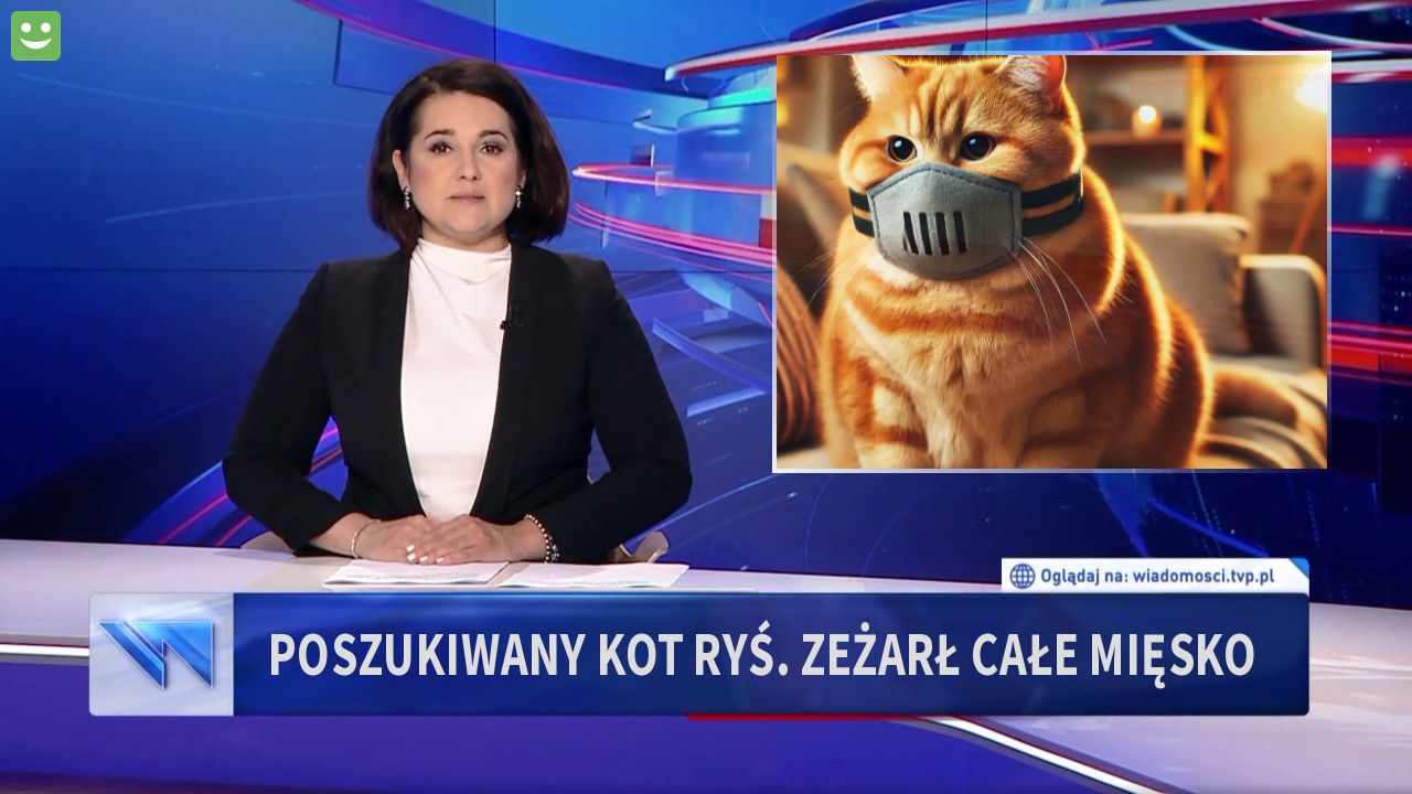 Poszukiwany kot Ryś. Zeżarł całe mięsko