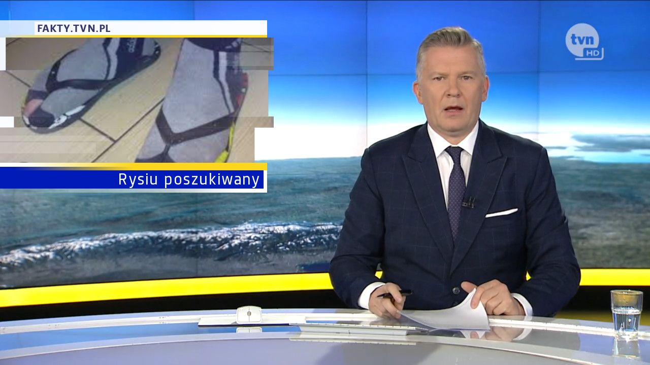 Rysiu poszukiwany