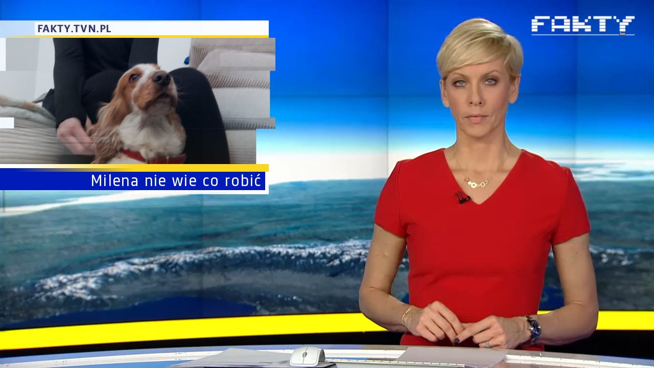 Milena nie wie co robić