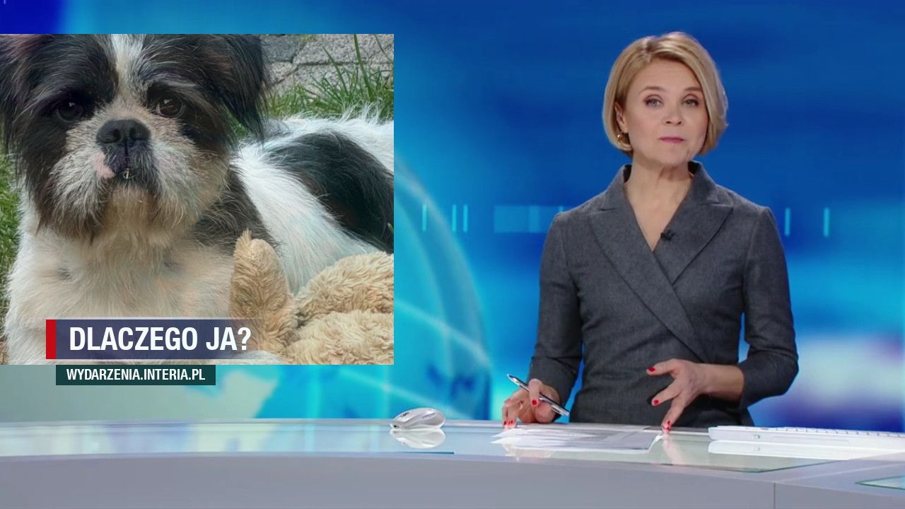 Dlaczego ja?