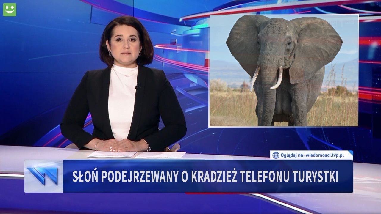 słoń podejrzewany o kradzież telefonu turystki