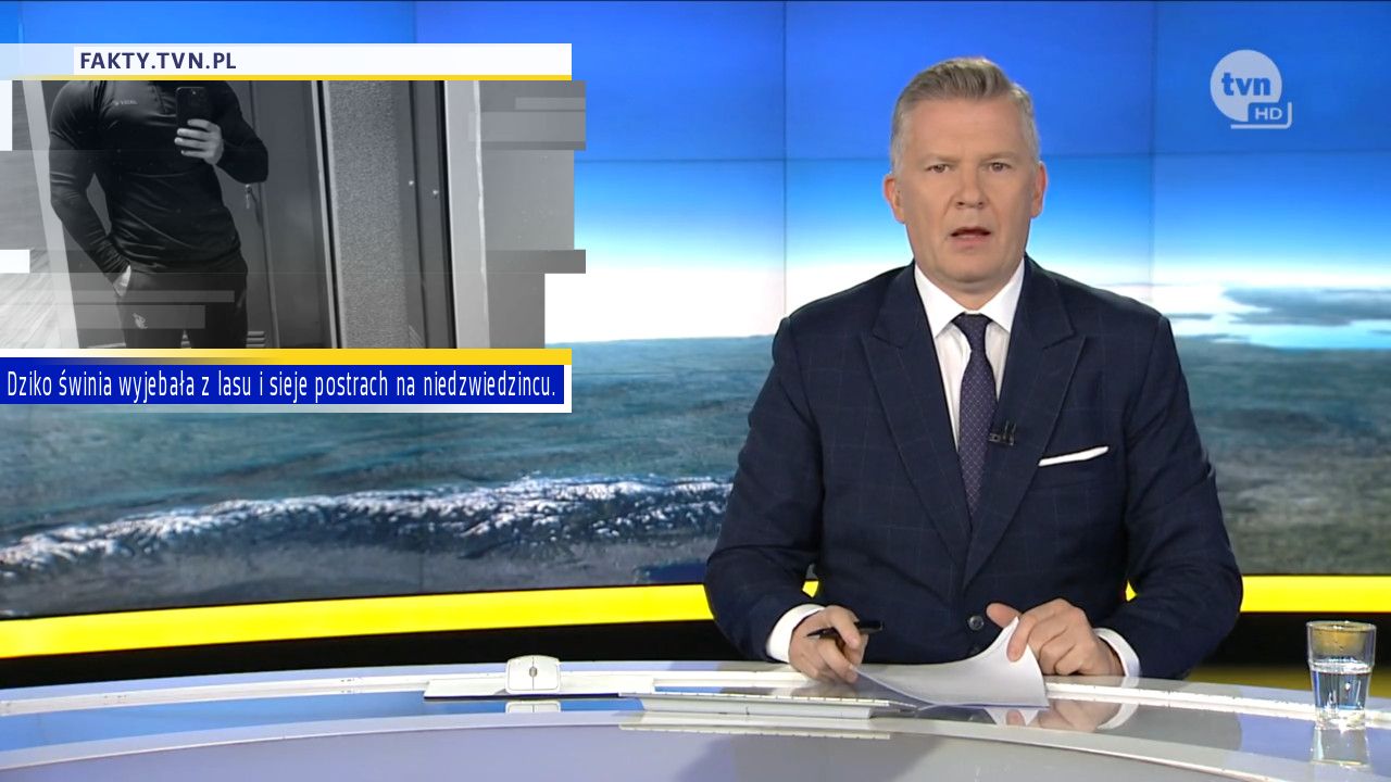 Dziko świnia wyjebała z lasu i sieje postrach na niedzwiedzincu.