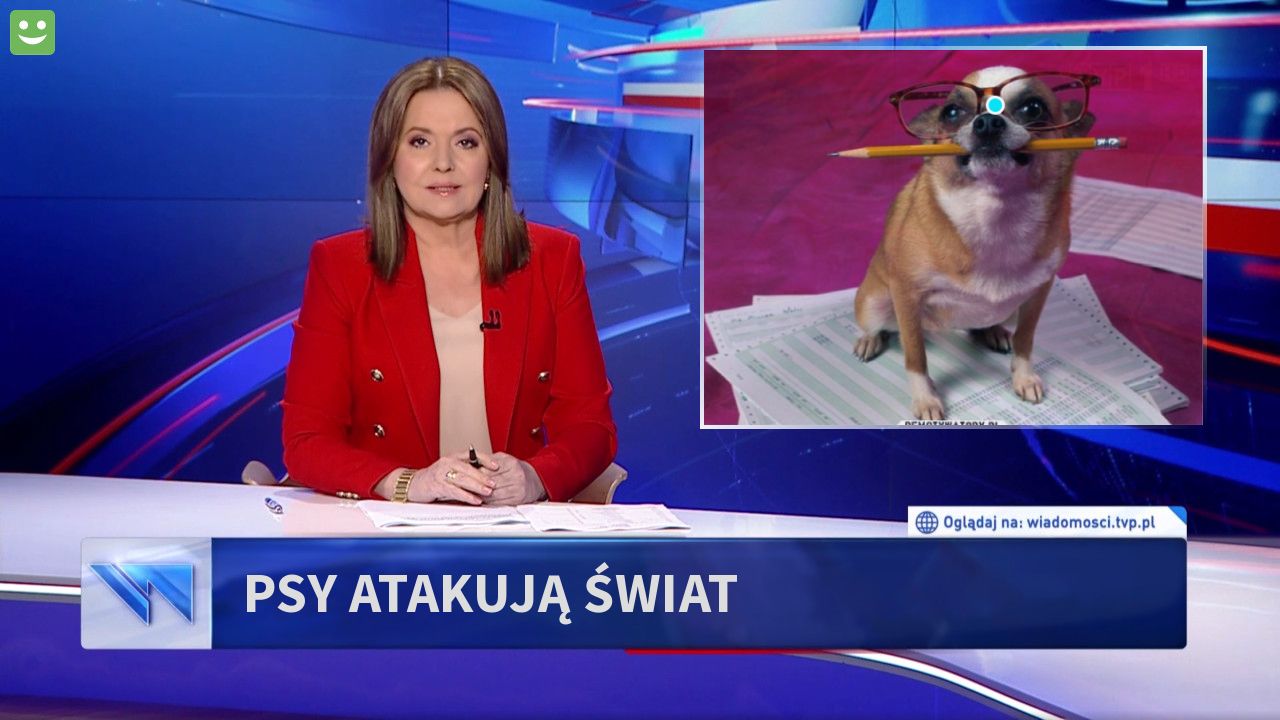 Psy atakują świat