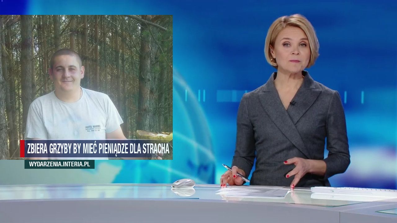 Zbiera grzyby by mieć pieniądze dla stracha