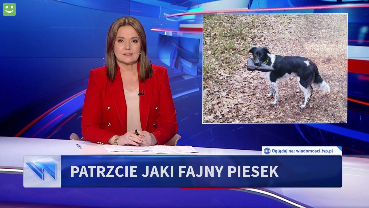 Patrzcie jaki fajny piesek