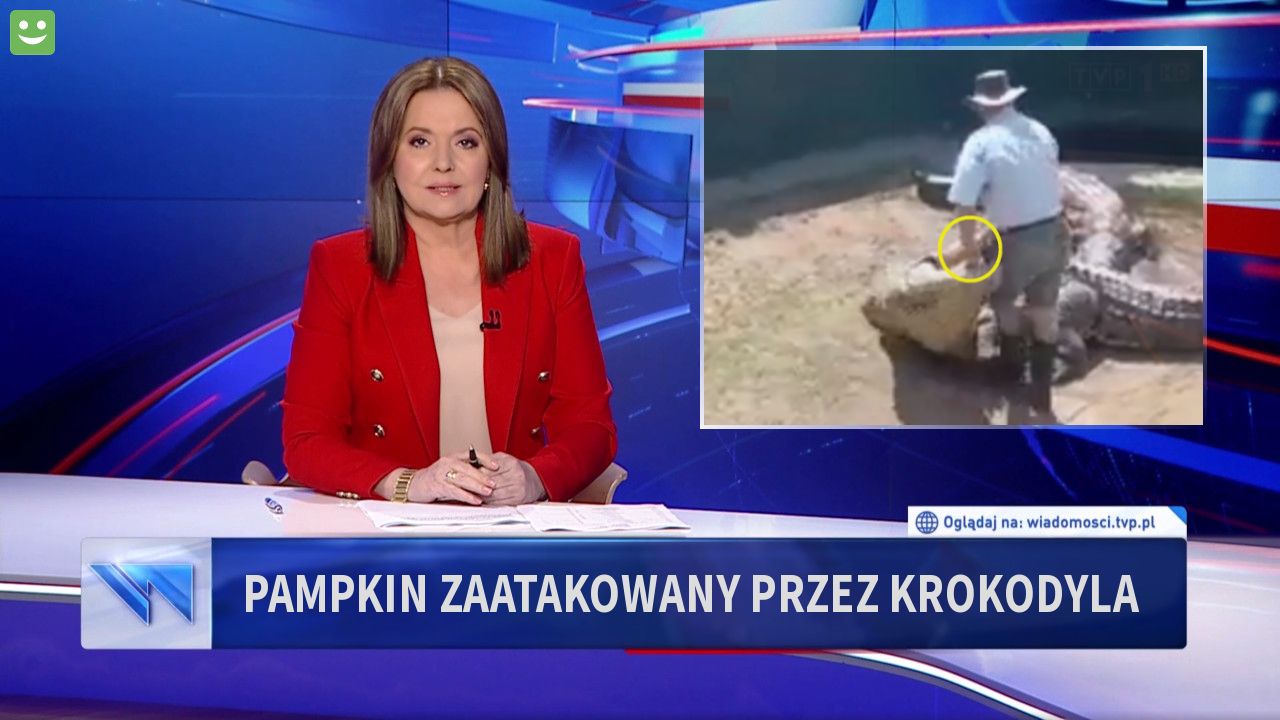 Pampkin zaatakowany przez krokodyla