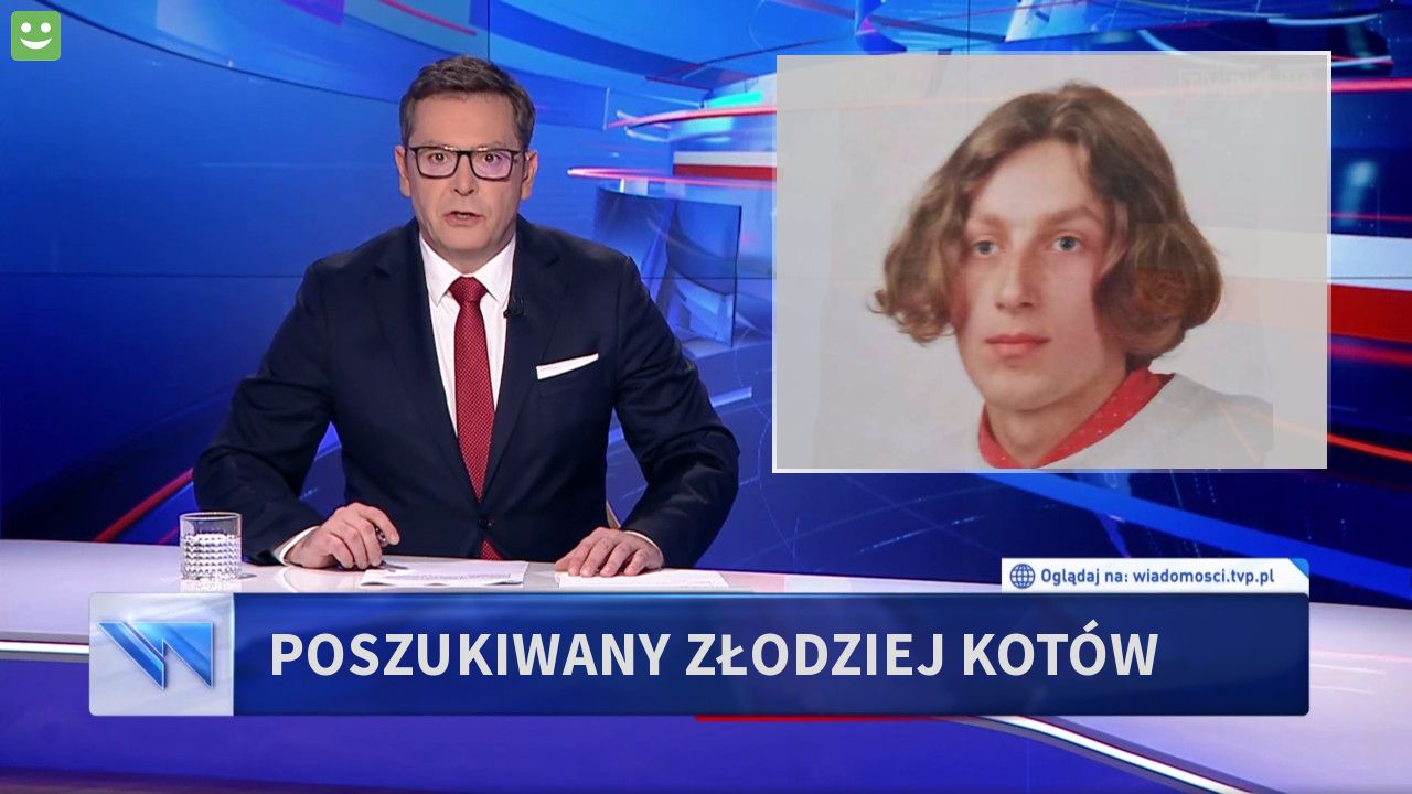 Poszukiwany złodziej kotów
