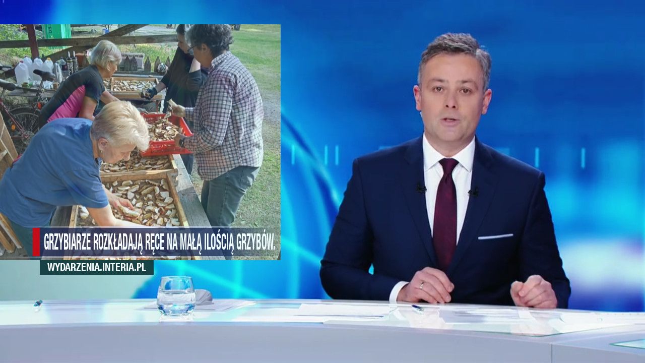 Grzybiarze rozkładają ręce na małą ilością grzybów.