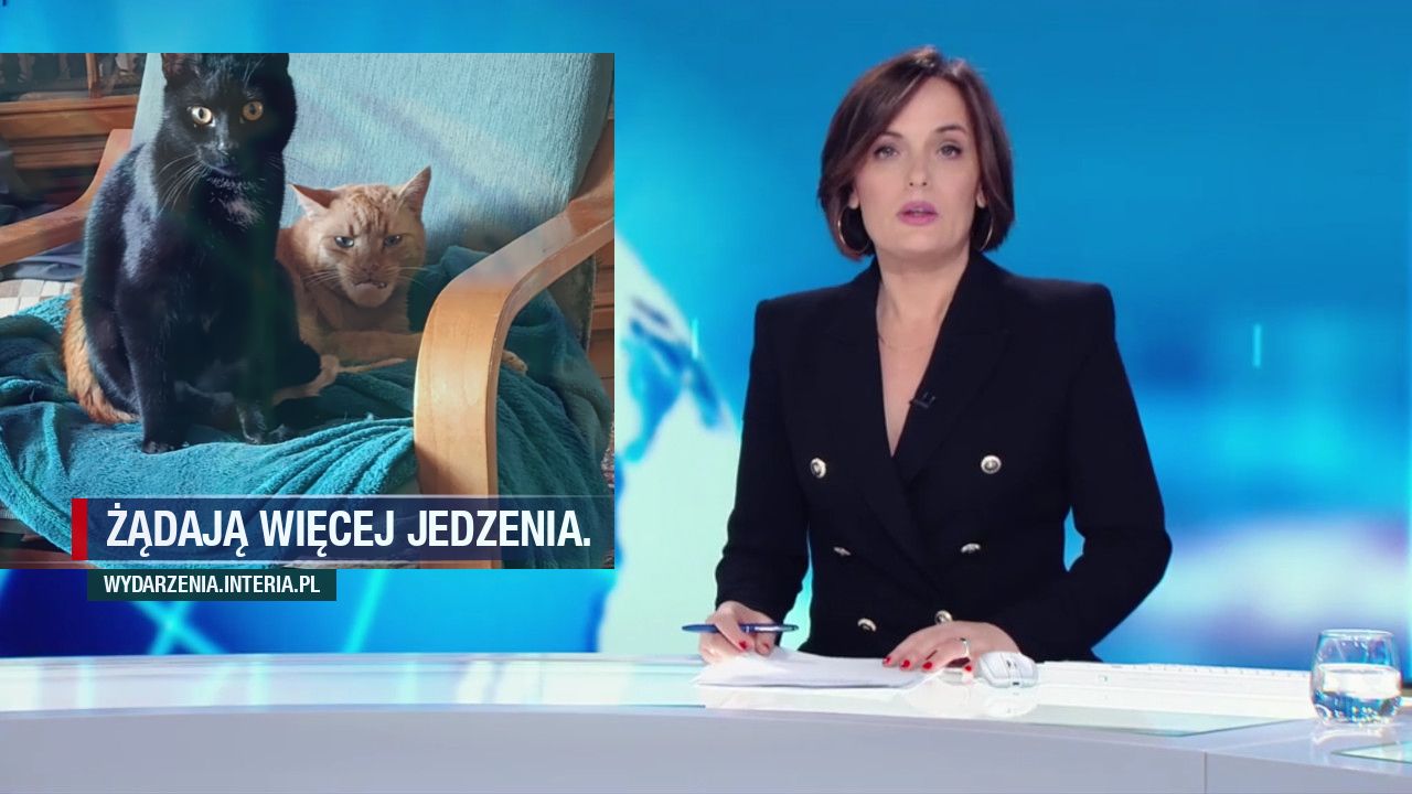 Żądają więcej jedzenia.