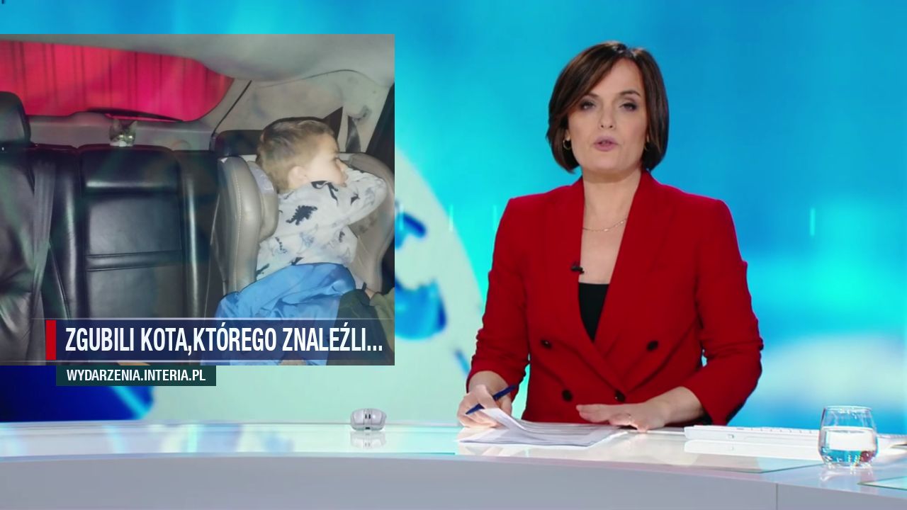 Zgubili kota,którego znaleźli...
