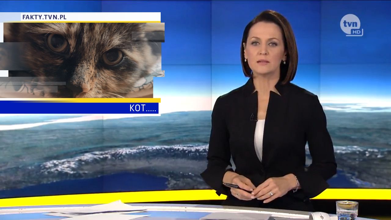 KOT.....
