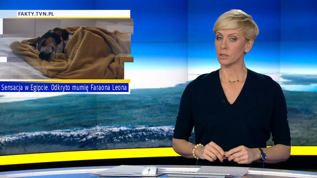 Sensacja w Egipcie. Odkryto mumię Faraona Leona
